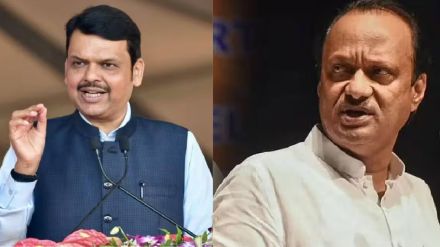 devendra fadnavis on ajit pawar (1)