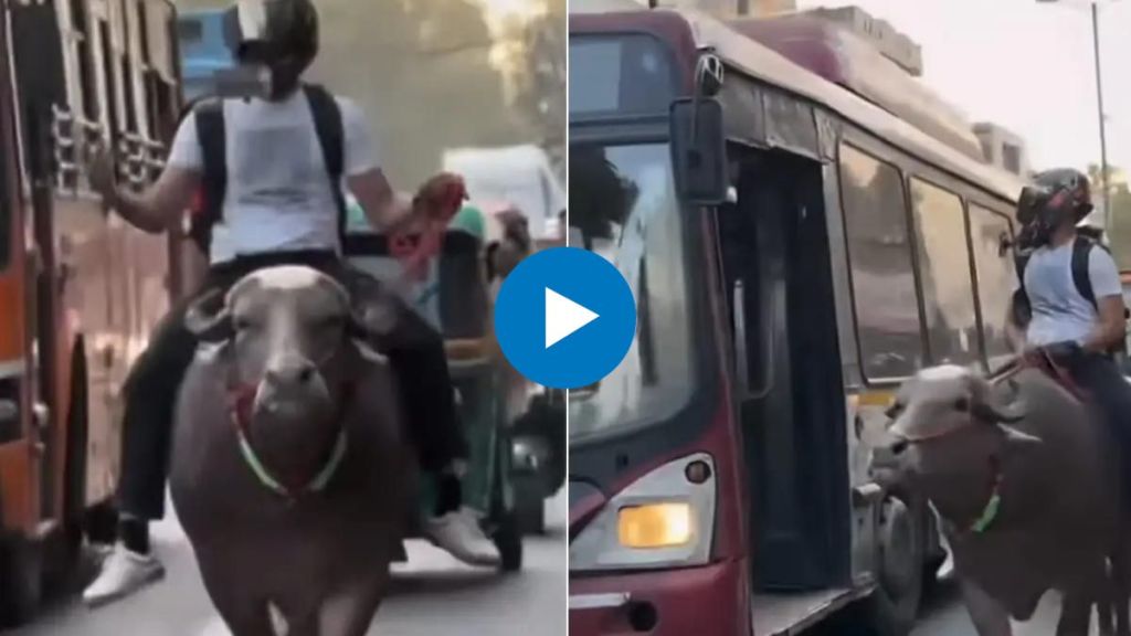 young man riding a buffalo on the streets