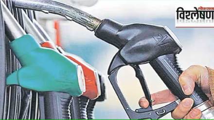 reason behind petrol and diesel price stable in india