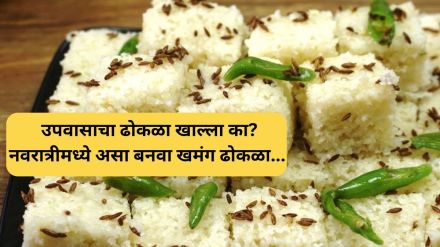 Upvasacha Dhokla