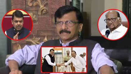 sanjay-raut-on-devendra-fadnavis-interview