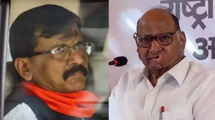 sanjay raut on sharad pawar