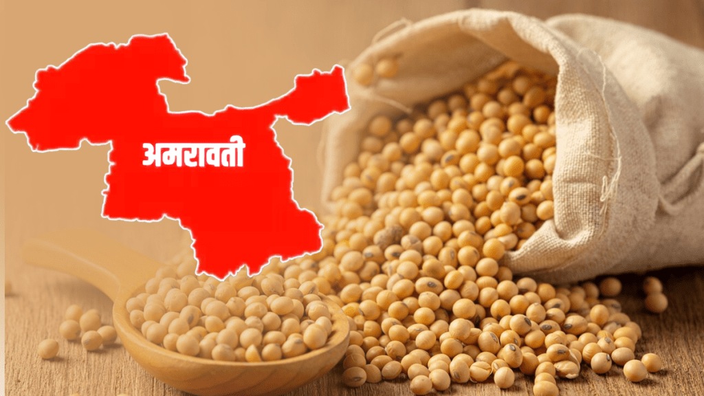 arrival soybeans West Vidarbha market increasing price less guaranteed price