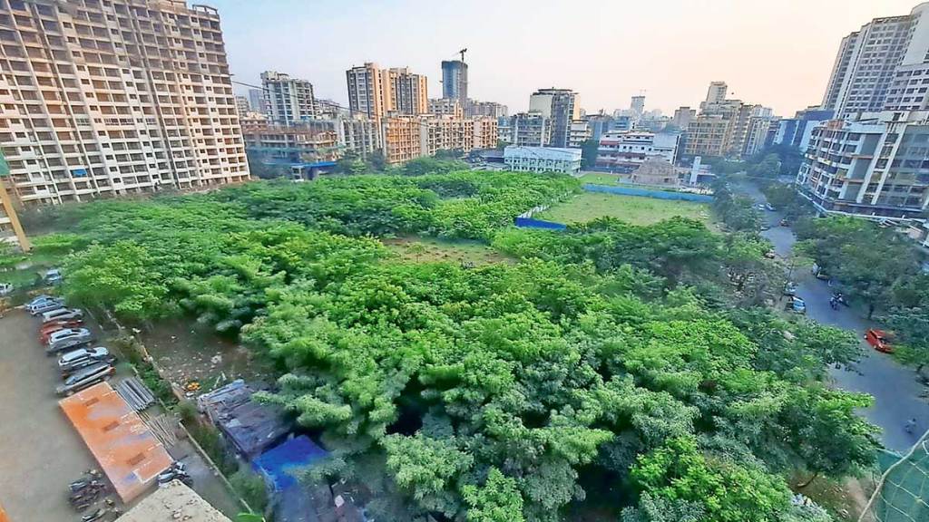 mbmc to build an international standard swimming pool by cutting down 3267 trees