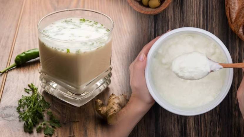 Which Is More Helpful For Weight Loss Curds Or Buttermilk Weight Loss At Home