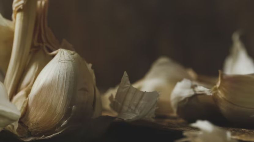 Garlic Farming