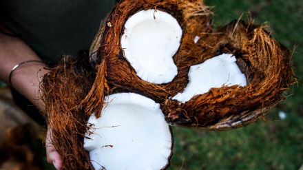 Coconut Peel