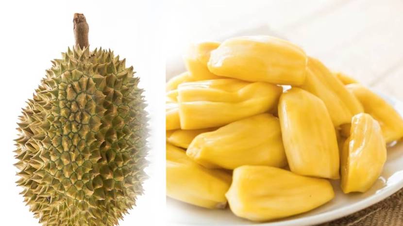 Jackfruit Side Effects After Eating Jackfruit Do Not Eat These Things Even By Mistake It May Be Heavy