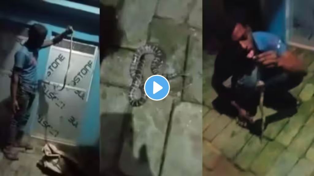 Man was playing with snake