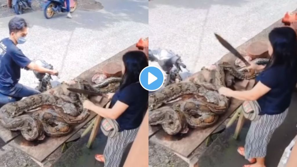 Woman selling python meat on the roadside