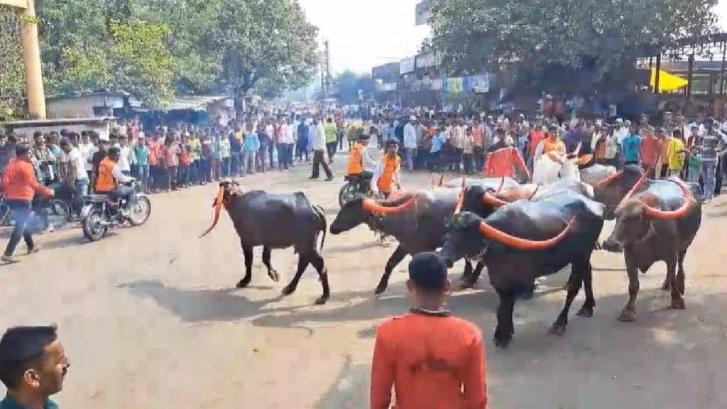 Kolhapur Diwali