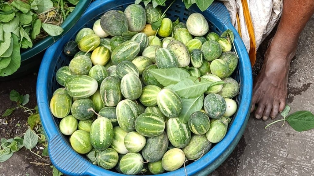 Musk Melon fruit is expensive in the market uran