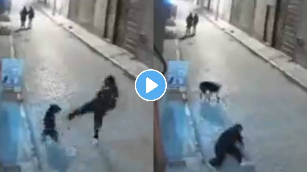 Man tries to kick a dog and gets instant karma video viral on social media