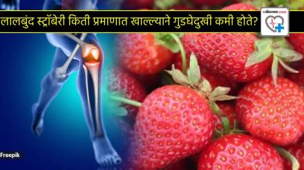 Strawberry For Knee Pain Eat Winter Special Fruits To Reduce Burning Doctor Tells Real Benefits Of Berries For Pain in Joints