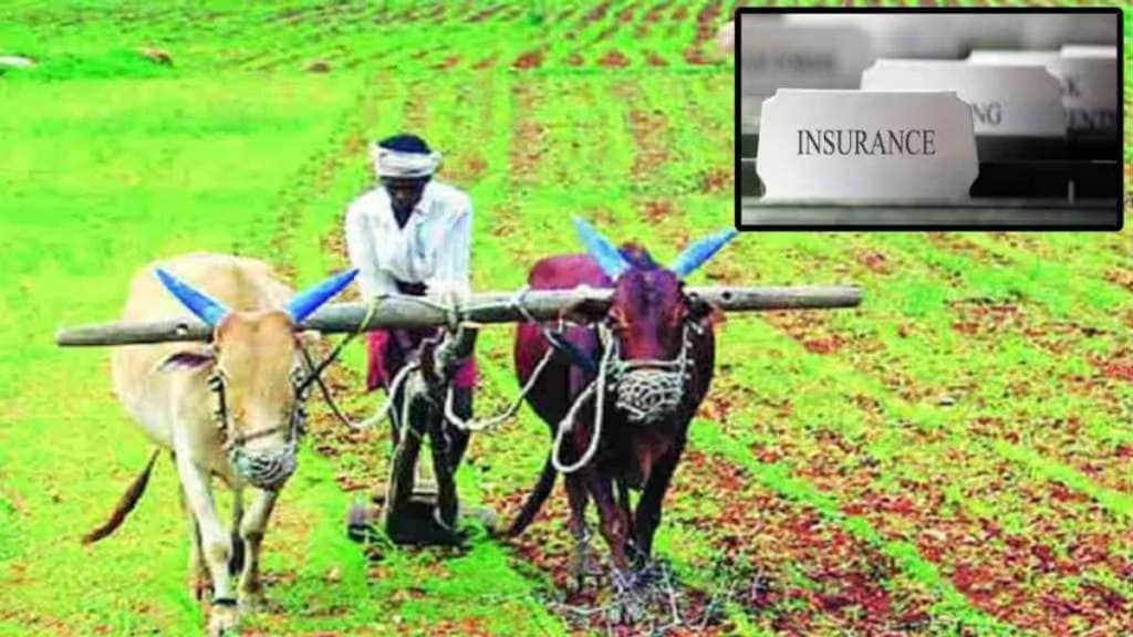 crop insurance farmers Yavatmal district