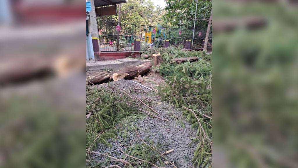 roadside tree Sunil nagar Dombivli