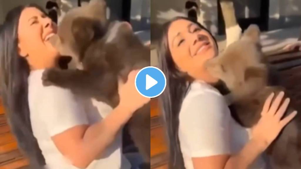 Pet bear attacks on a girl shocking video viral on social media