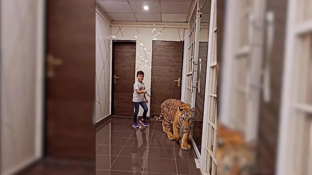 Pakistani YouTuber shares video of little boy walking a chained tiger Internet is angry