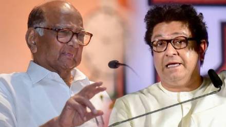 What Raj Thackeray Said?