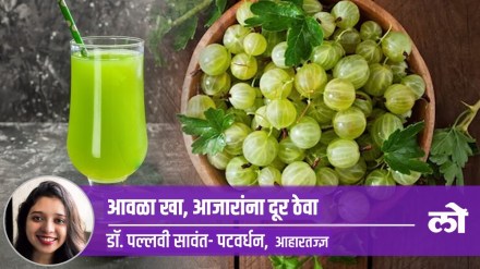 Amla medicinal, multi-purpose, It keeps away diseases