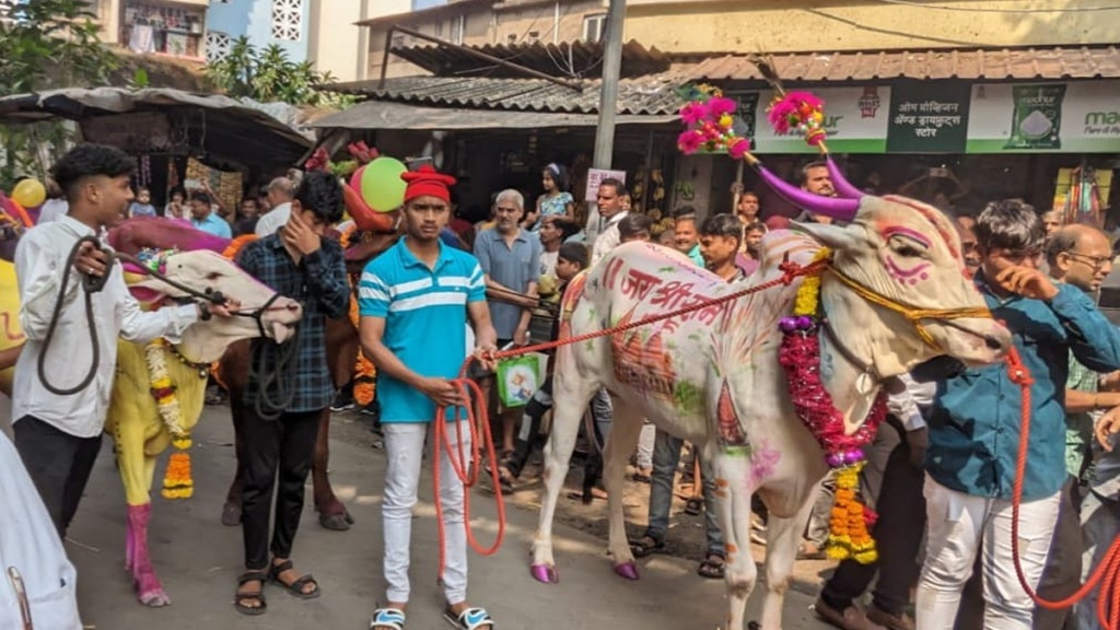 Diwali celebrated traditional Thakurli Dombivali