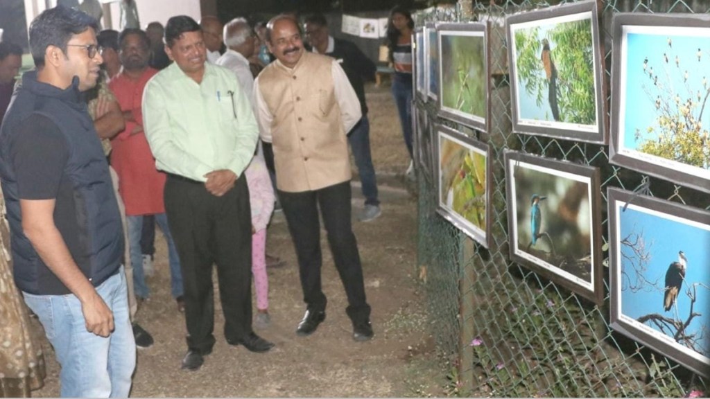 wardha bird list, wardha warbler bird, warbler bird found in wardha, wardha forest department