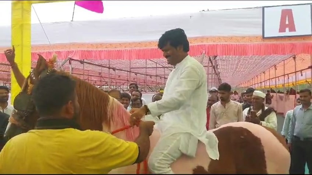 gopichand padalkar, horse riding, birthday of mla mahesh landge