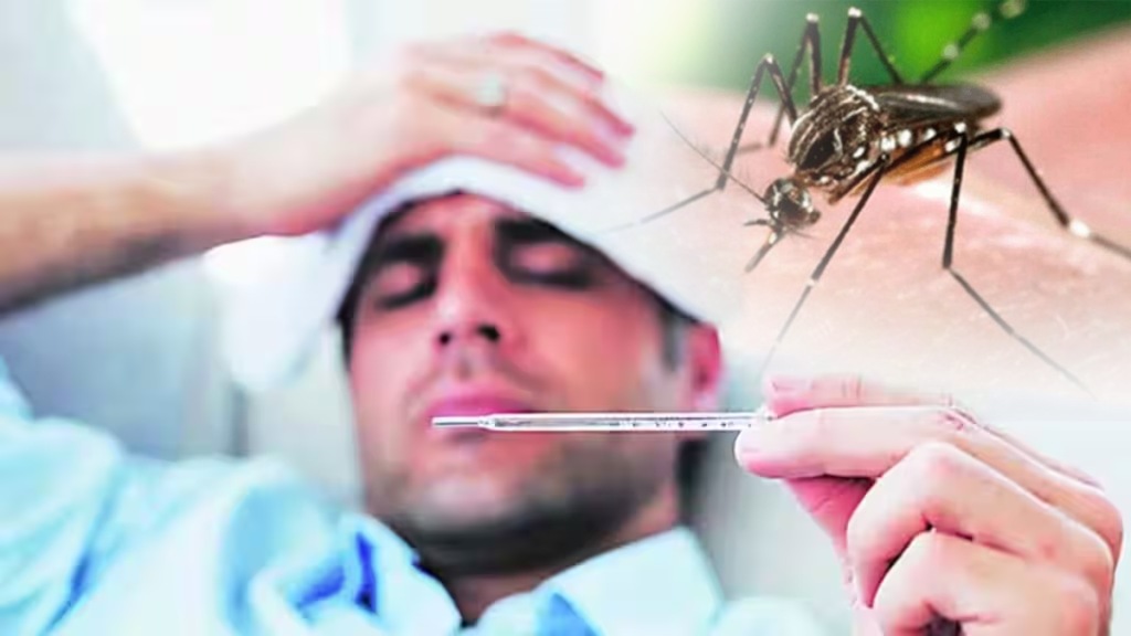 six districts Nagpur division, number Chikungunya patients increased six times year compared last year