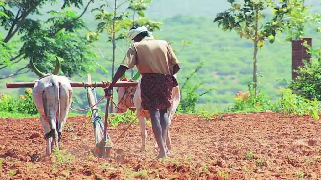 Farmers Rabi season dilemma agribusinessmen state-wide strike wardha