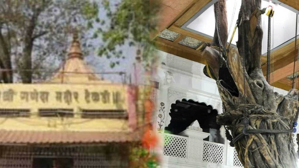 Tree dries up in tekdi ganesha temple