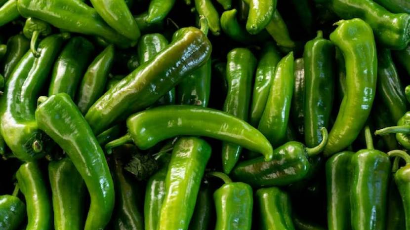 Green Chilli Or Red Chilli Which One Is Healthier 