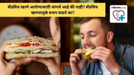 is sandwich is healthy and sandwich can gain weight which sandwich is better know what Experts say