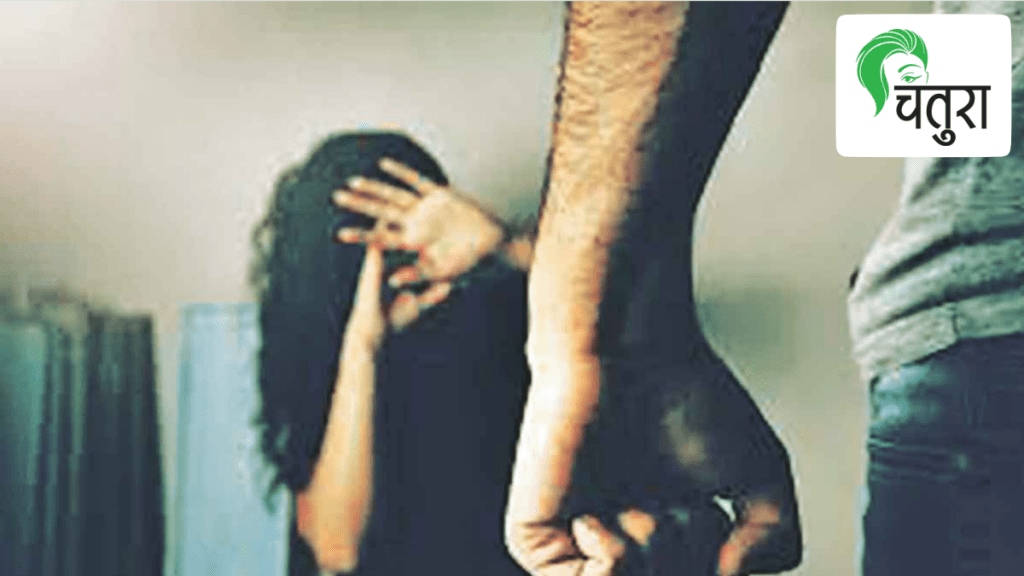 Law on Domestic Violence artical