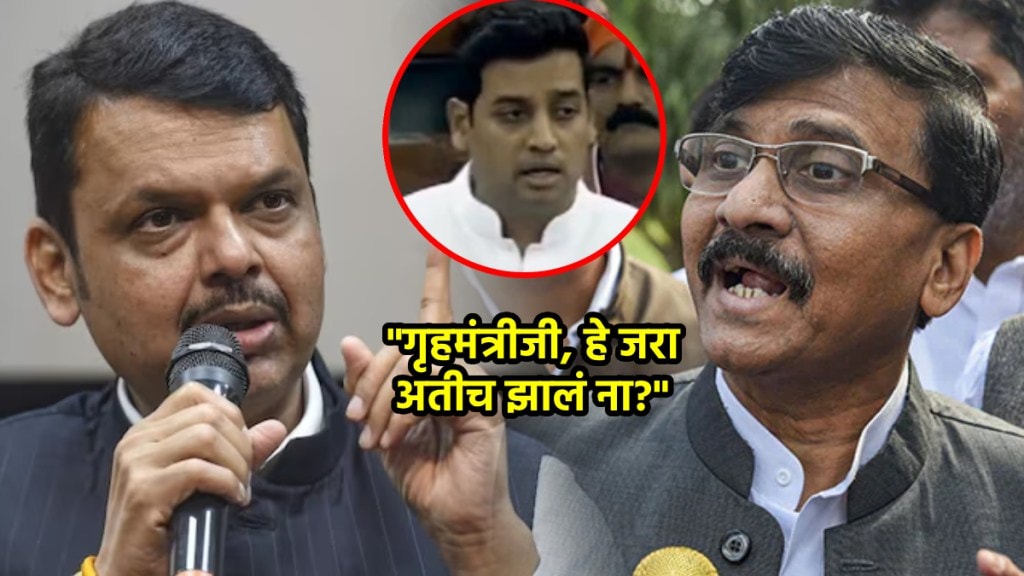 sanjay raut devendra fadnavis srikant shinde