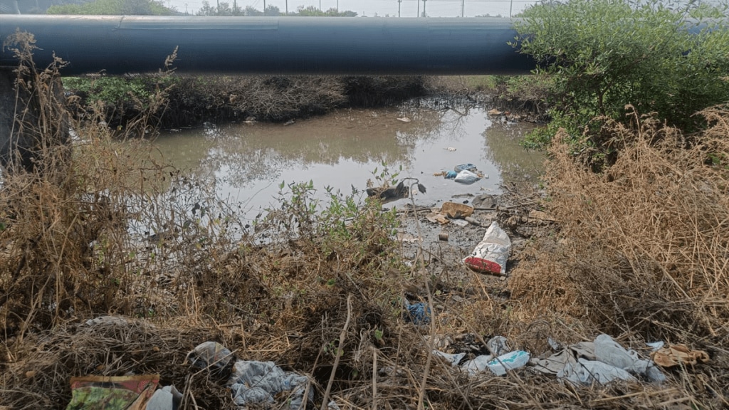 Sea bay pollution reduced business small traditional fishermen uran