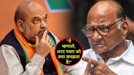 sharad pawar on amit shah