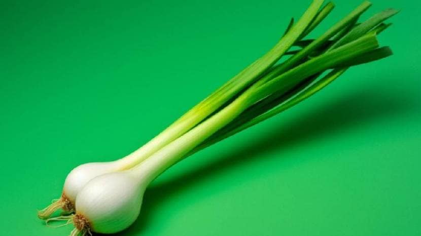 spring onions health benefits & Its Nutrients these Amazing Benefits Of Spring Onions We Bet You Dont Know