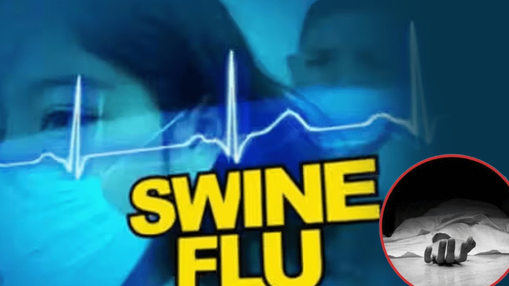 patients died'swine flu' Nagpur diwali near