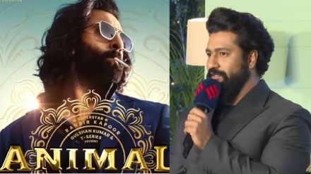 vicky kaushal talks about sam bahadur animal clash