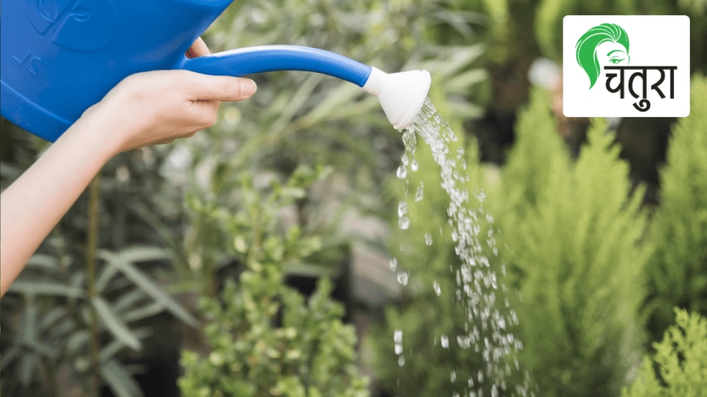 Terrace Garden, Watering the Life of Trees