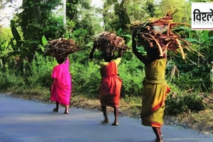 Tribals migrate find work, limitations of 'Employment Guarantee Scheme' tribal areas