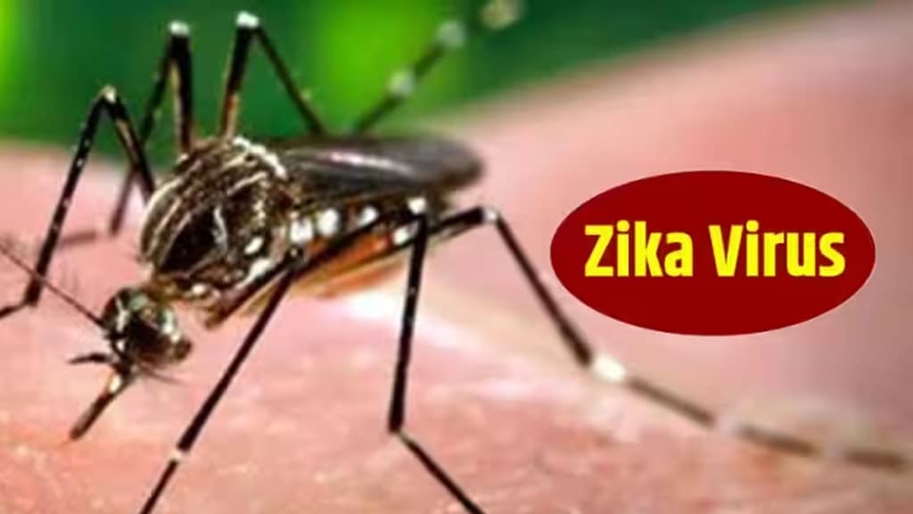 Six more suspected cases Zika diseas found area pune