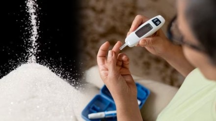 Can Eating Too Much Sugar Cause Diabetes