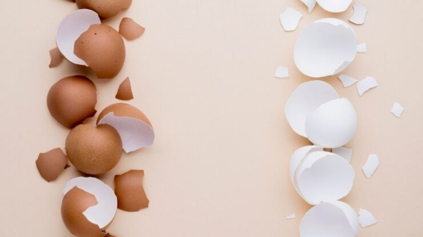 how to reuse egg shells or ande kavach in gardening as compost and cleaning 