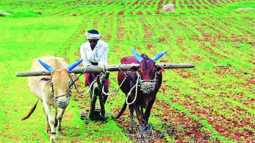 Loot of farmers Washim district