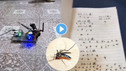 machine to kill mosquito going viral