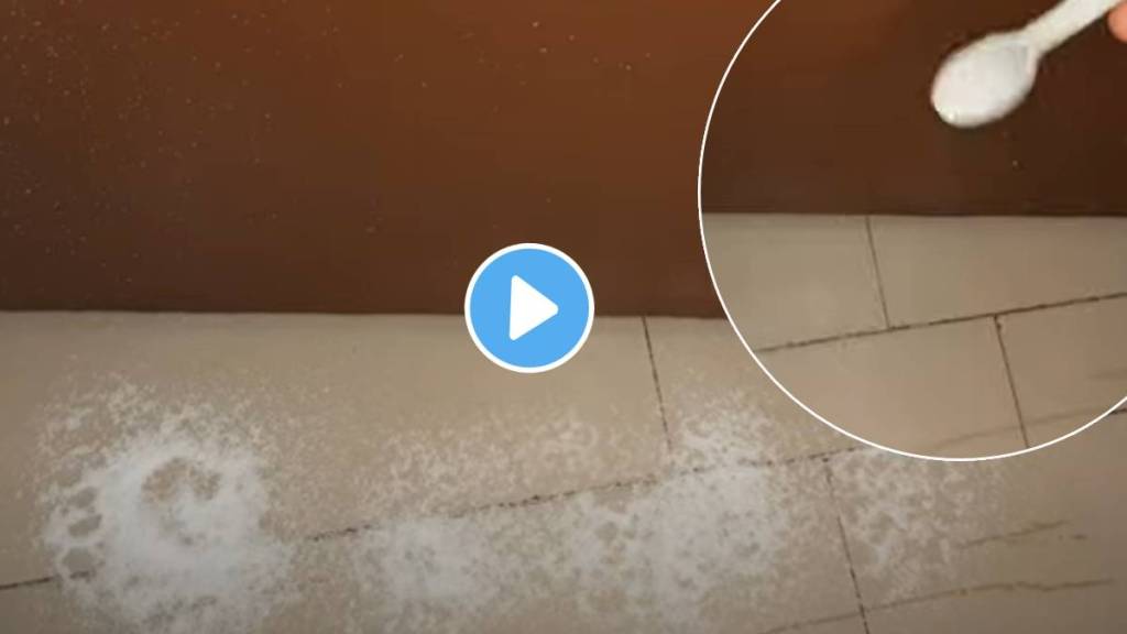 kitchen tips in marathi salt at door to keep insects animal away from home kitchen jugaad video