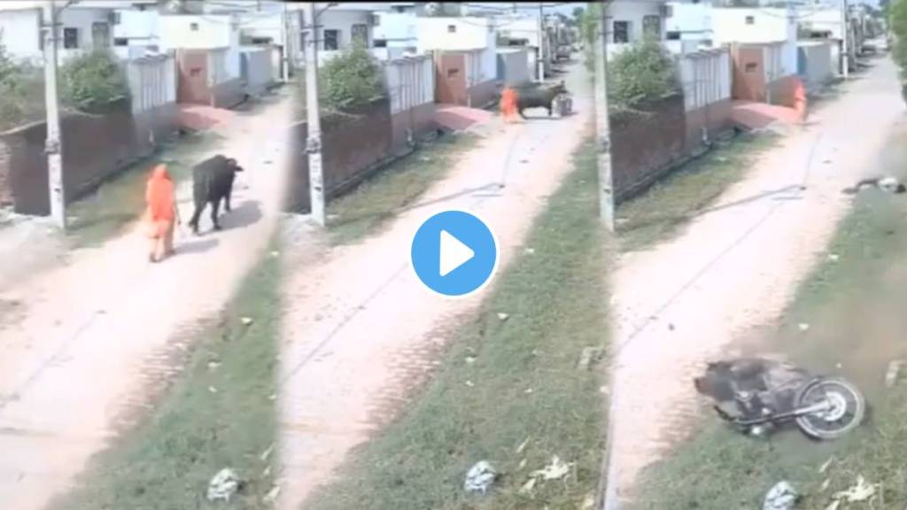 Buffalo Hits Man Riding A Bullet