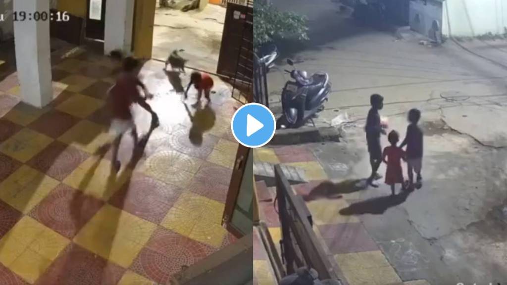 Hyderabad Dog Attack Video