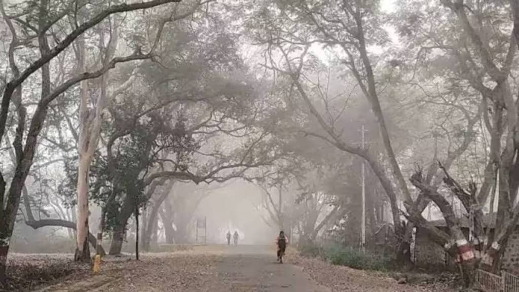 December Mumbai people sweat